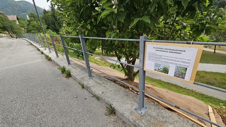 Območje, kjer poteka odstranjevanje invazivk, je označeno s tablo